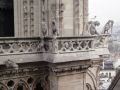 paris-notre-dame31.jpg