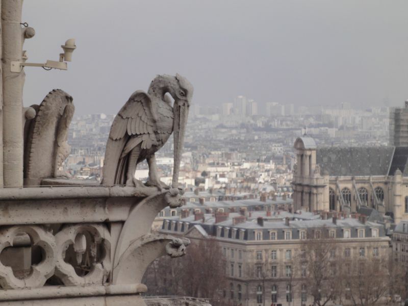 paris-notre-dame42.jpg