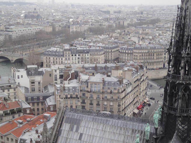 paris-notre-dame59.jpg